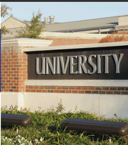 Cimetrics assisting New York University through the National Grid RTEM Program Case Study